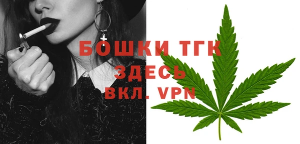 mdma Богородицк