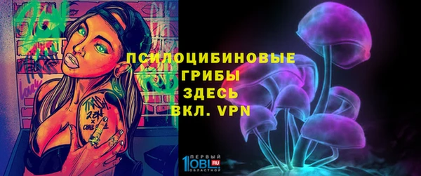 мдпв Белокуриха