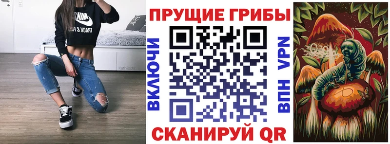 сколько стоит  Динская  Галлюциногенные грибы Magic Shrooms 